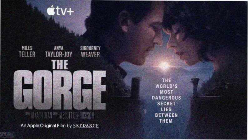 热门影视 星河彼岸